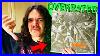 10-Super-Rare-And-Expensive-Albums-That-Aren-T-Worth-The-Money-01-pws
