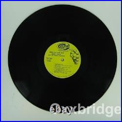 CHAVIS BROTHERS Born To Love You GRAPE Original 1st DANNY Rare Rock LP Vinyl