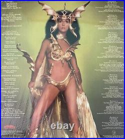 Cher Vinyl Record Lot Cher Vinyl Record Lot