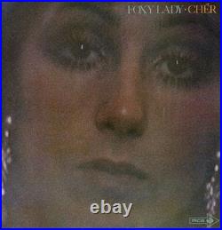 Cher Vinyl Record Lot Cher Vinyl Record Lot