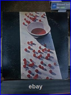 Classic Rock & Pop Vinyl LP Lot Elton John, Cheap Trick, James Taylor