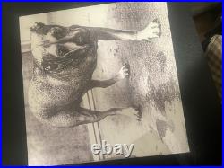 Crosley Cruiser Premier Vinyl Record Player With Alice in Chains Vinyl