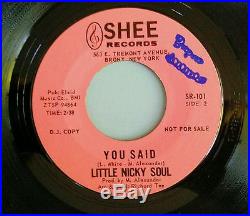 DEAD RARE Little Nicky Soul ORIG. Shee Sr-101 45 Record I Wanted To Tell You