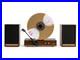 Fuse-GLD-Vertical-Vinyl-Record-Player-with-Speakers-Bluetooth-Wood-Gold-Trim-01-uftf