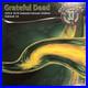 Grateful-Dead-Dicks-Picks-Vol-33-10-9-10-10-1976-Oakland-6-180g-VINYL-1075-01-nuj