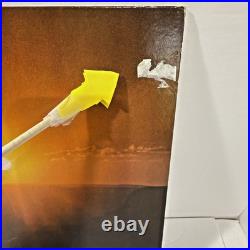 Johnny Cash Vintage Vinyl Records Lot Of 14