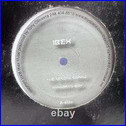 Lot of 13 Techno Records Minimal Dub Techno Tech House Rare Over $600 Retail