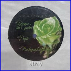 Lot of 16 Deep/Minimal House Minimal Techno House Detroit Moodymann Records (G)