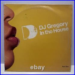 Lot of 16 Deep/Minimal House Minimal Techno House Detroit Moodymann Records (G)