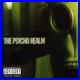 Lp-psycho-Realm-psycho-Realm-2lp-New-Vinyl-01-rahz
