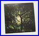 Nanci-Griffith-There-s-Light-Beyond-These-Woods-BF-Deal-9-Inserts-70s-LP-Record-01-yy