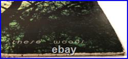 Nanci Griffith There's Light Beyond These Woods BF Deal 9 Inserts 70s LP Record
