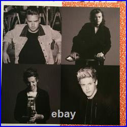 One Direction Made In The AM Vinyl LP Record Harry Styles Niall New Sealed