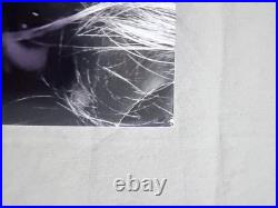 Reputation Picture Disc Taylor Swift Vinyl 2LP SHIPS NEXT DAY See Photos