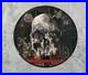 Slayer-South-Of-Heaven-Picture-Disc-Vinyl-LP-Record-Rare-Artwork-2007-01-nora
