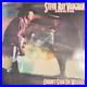 Stevie-Ray-Vaughn-3-LP-Vinyl-Lot-01-dcvc