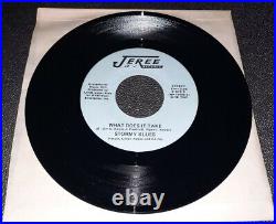 Stormy Blues What Does It Take Heaven Sent Jeree Records 81879 Mint Rare Vinyl