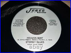 Stormy Blues What Does It Take Heaven Sent Jeree Records 81879 Mint Rare Vinyl