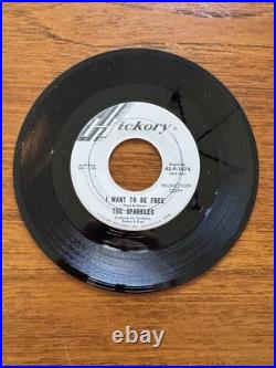 THE SPARKLES Hipsville 29 B. C. I Want To Be Free HICKORY GARAGE PROMO 45 RARE NM
