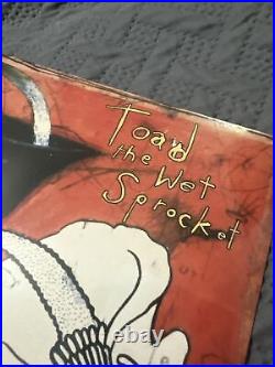 Toad The Wet Sprocket Dulcinea Vinyl 2024 Repress x/1000