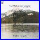 Warmduscher-Khaki-Tears-2015-Vinyl-LP-CD-NEWithSEALED-Fat-White-Family-01-ej
