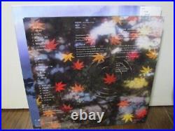 Your Name RADWIMPS Vinyl Records Movie Soundtrack Kimi No Na Wa LP 12 Analog